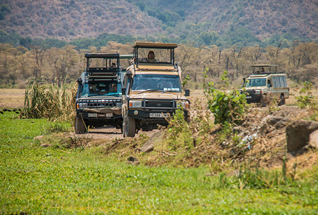 7 дней лучшего свадебного сафари